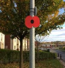 Lamp Post poppies