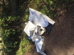 Fly tipping and rubbish